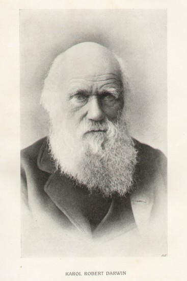 nusbaumdarwin
