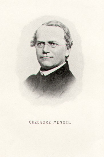 Mendelryc