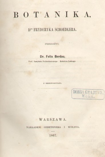 berdautyt