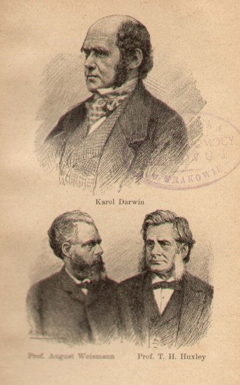 nusbaumesejI1
